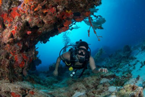 Buceo en Isla Cozumel