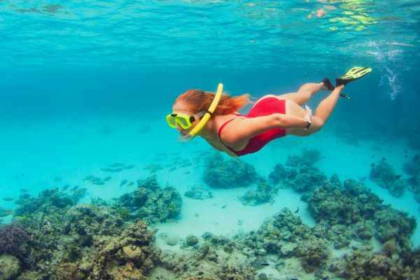 La Isla de Enmedio Veracruz Snorkel