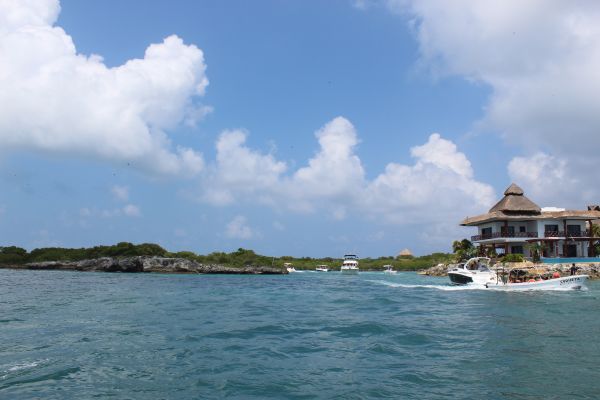 La Sorpresa del Día Isla Mujeres